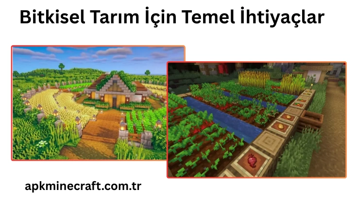 Bitkisel Tarım İçin Temel İhtiyaçlar